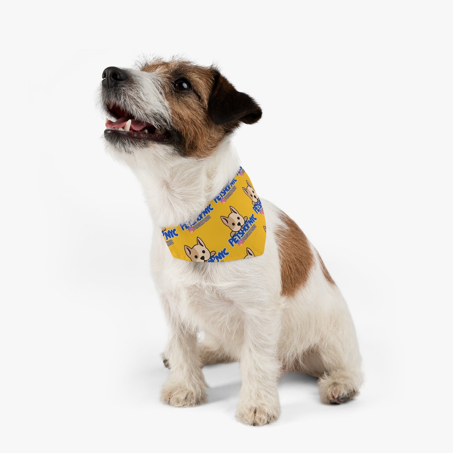 PetShopNYC Bandana (in Yellow)