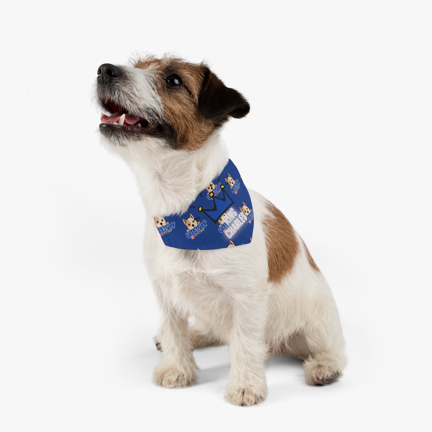 King Charles LIC Pet Bandana (Blue)