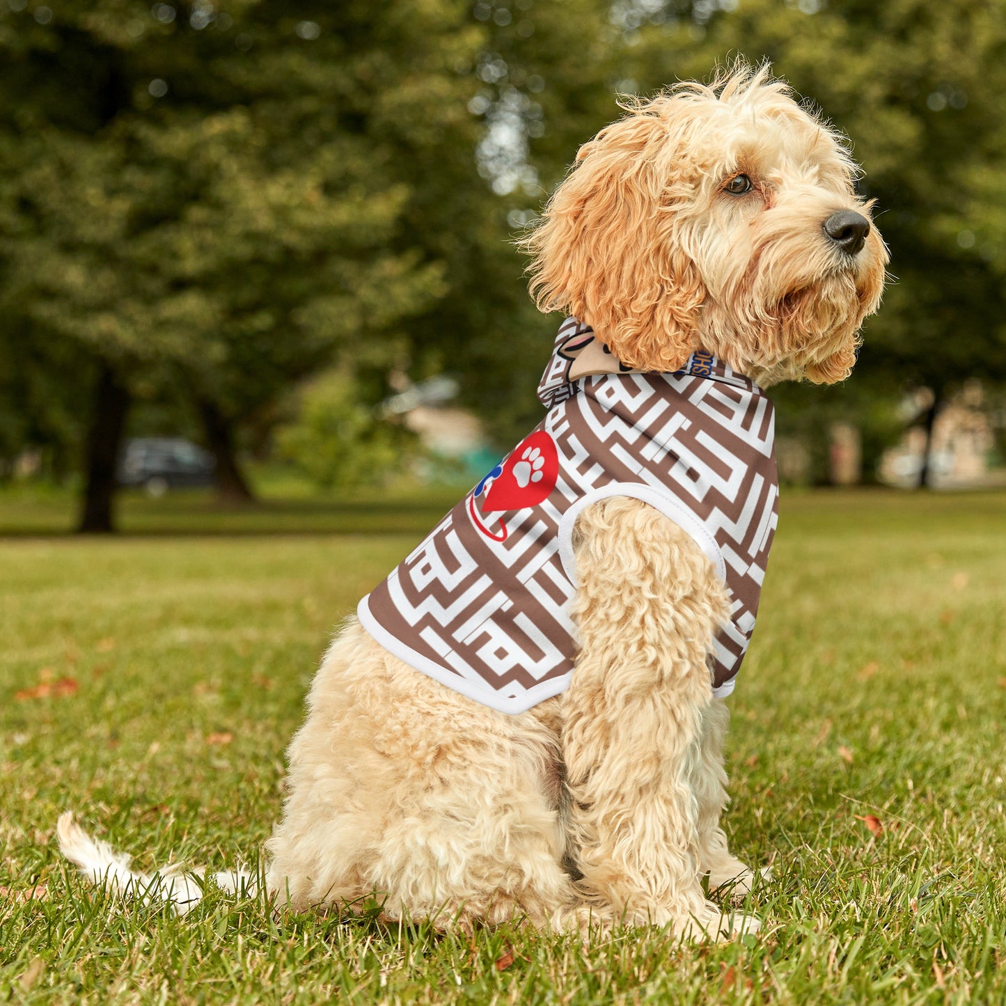 Pet Hoodie