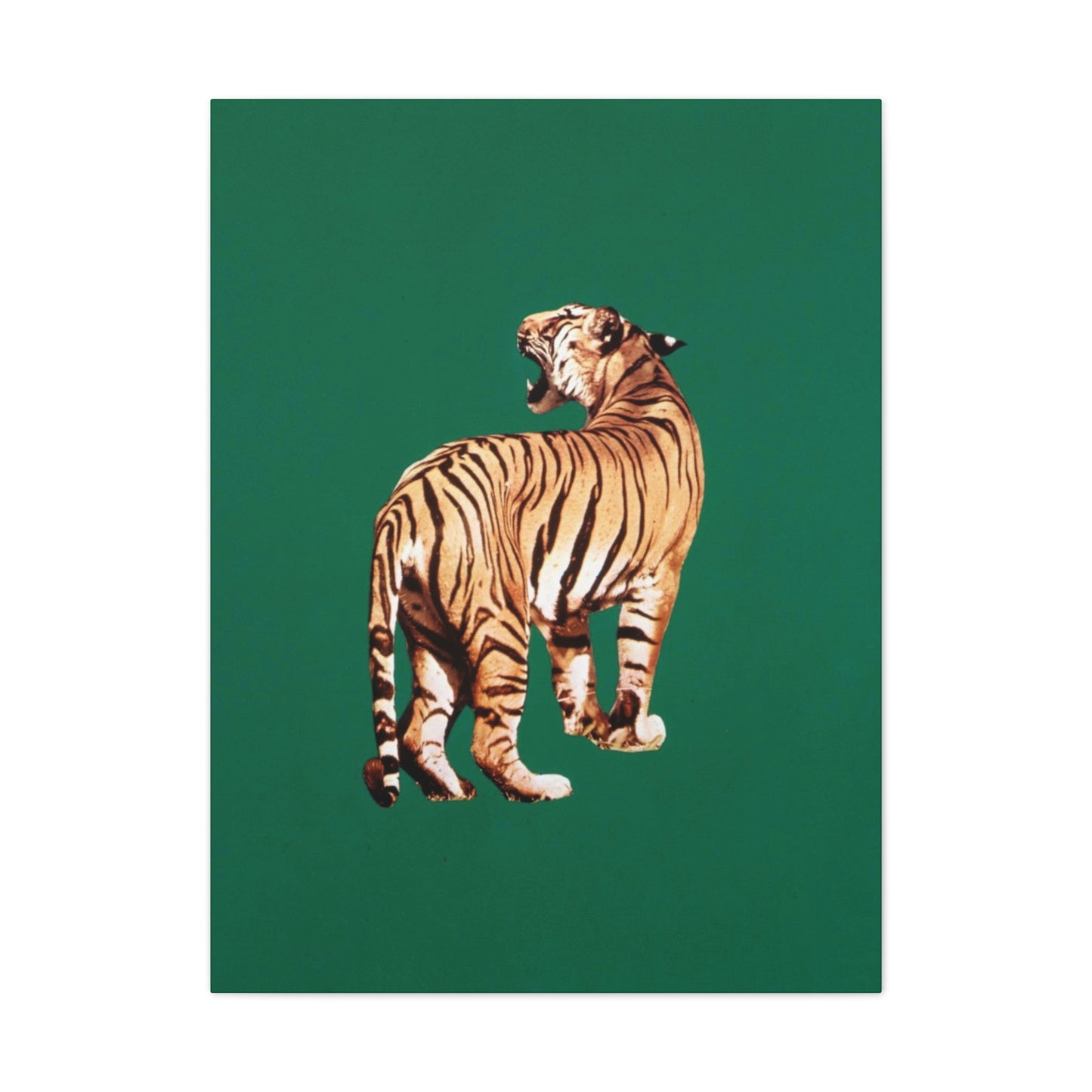 Framed Tiger