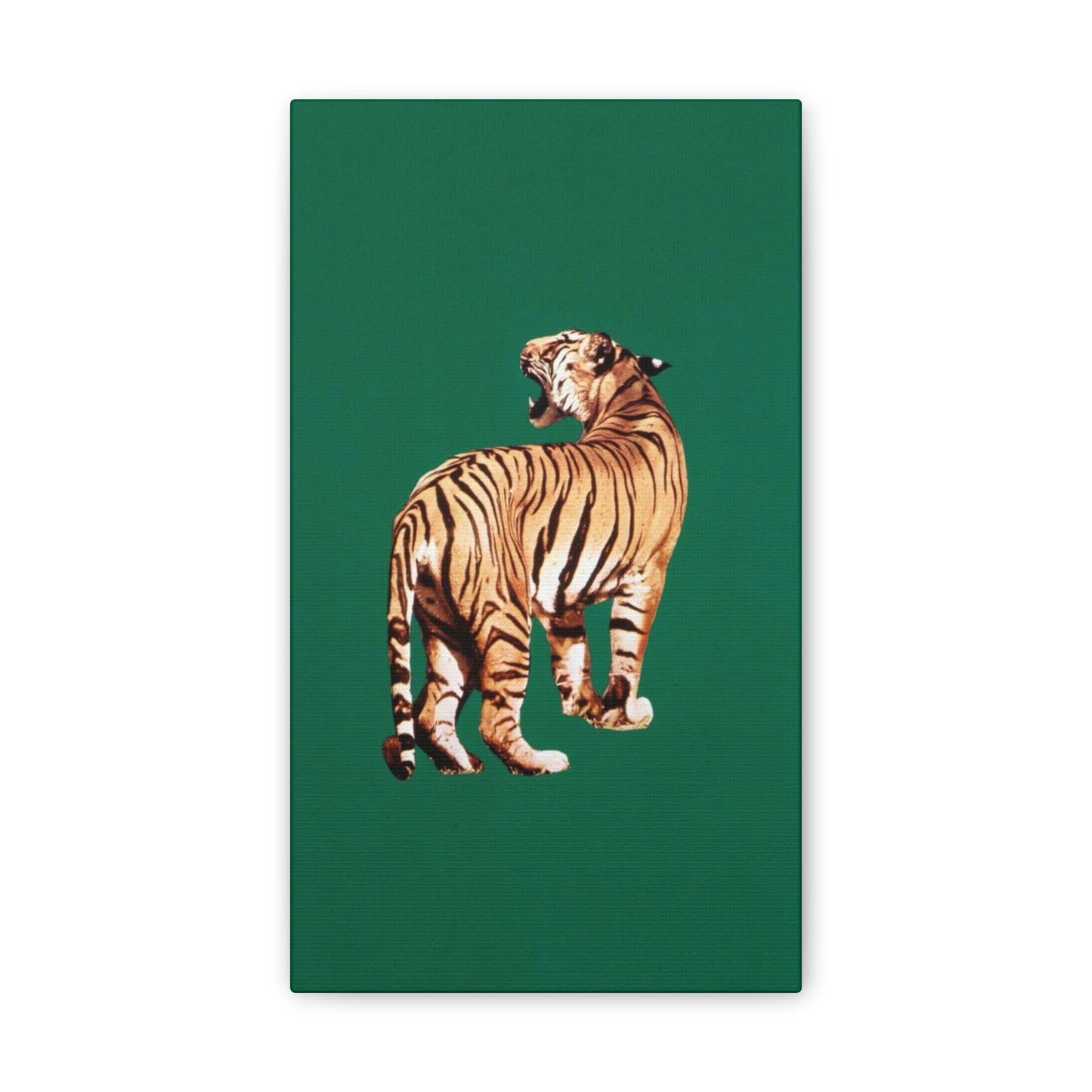Framed Tiger