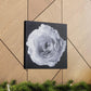 Elegance - DECOROOM
