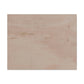 Beige Canvas