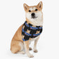 PetShopNYC Bandana (in Black)